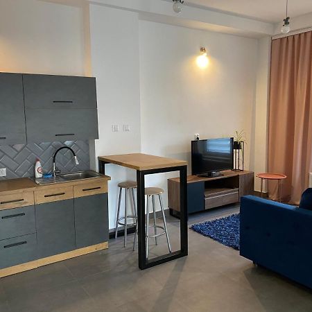 Apartamenty Pod Wierzbami Dwikozy 외부 사진