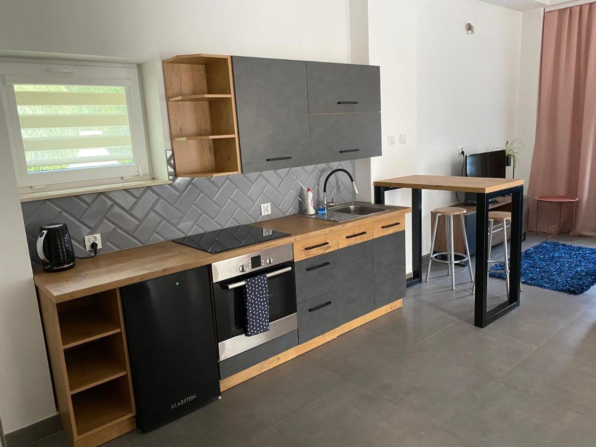 Apartamenty Pod Wierzbami Dwikozy 외부 사진