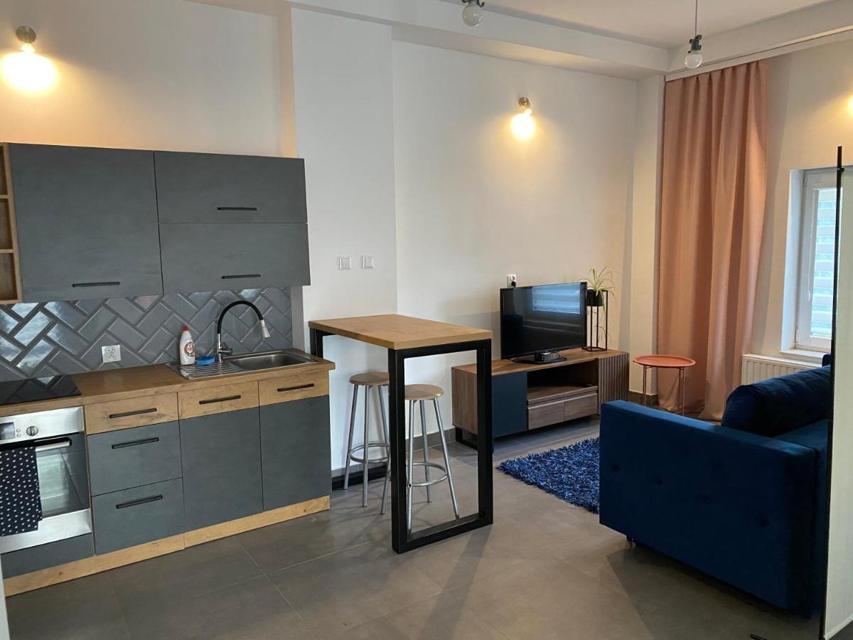 Apartamenty Pod Wierzbami Dwikozy 외부 사진